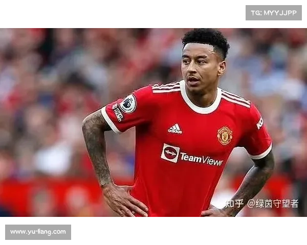 林加德为何备受调侃？