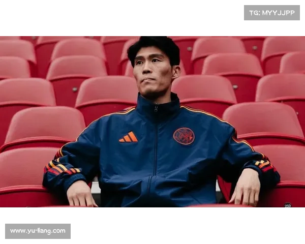 富安健洋进球历程与成就全方位解析及其在足球界的影响