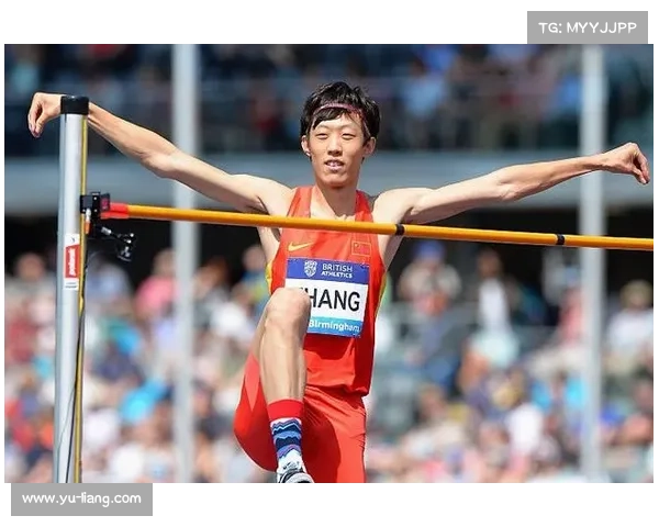 张国伟退役后获得的荣誉与未来规划揭秘