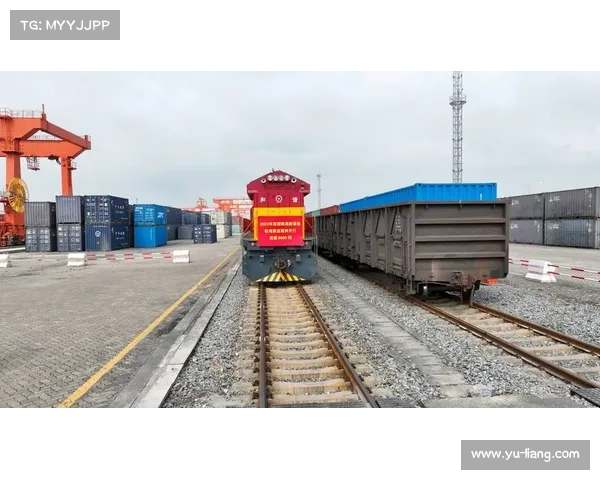 推动突破历史新高 2022至2023财年营收8亿欧元的五大关键因素解析